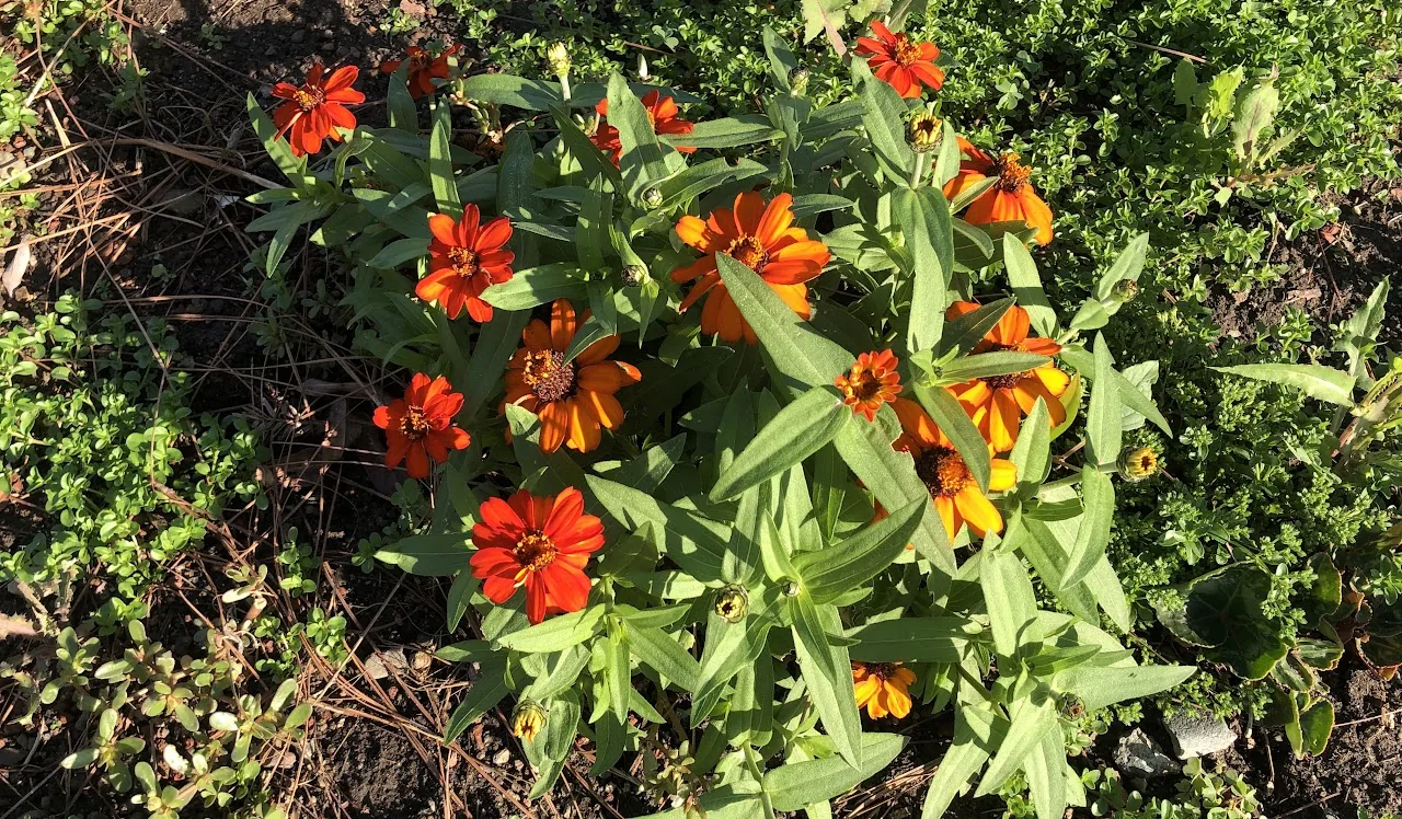 Reflections From October 2020