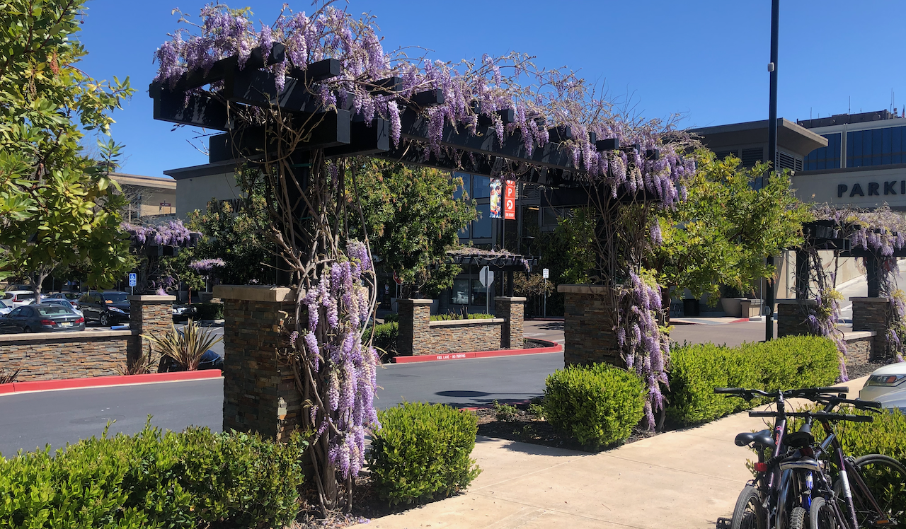 Reflections on Q1 of 2021