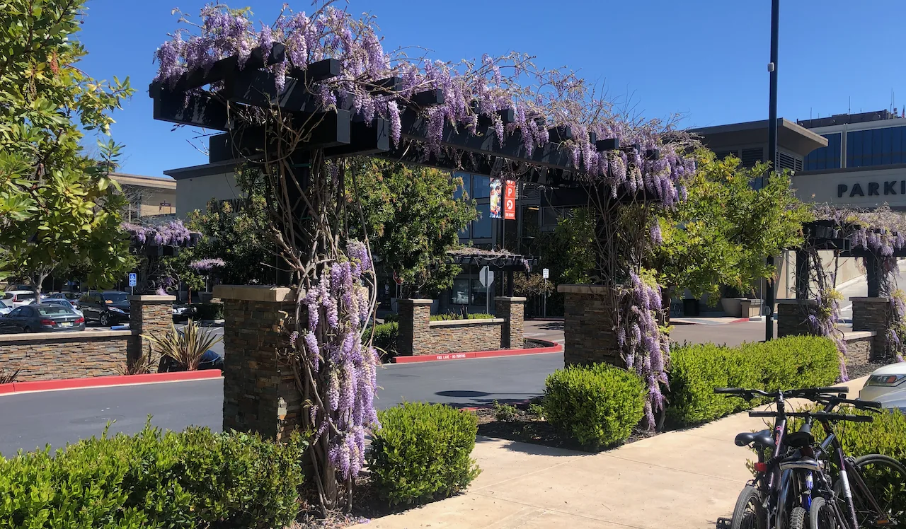 Reflections on Q1 of 2021